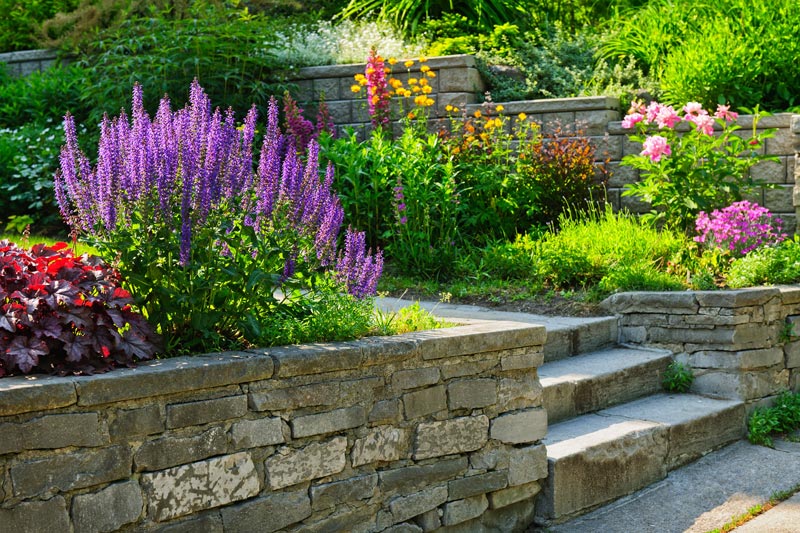Landscaped Brisbane garden