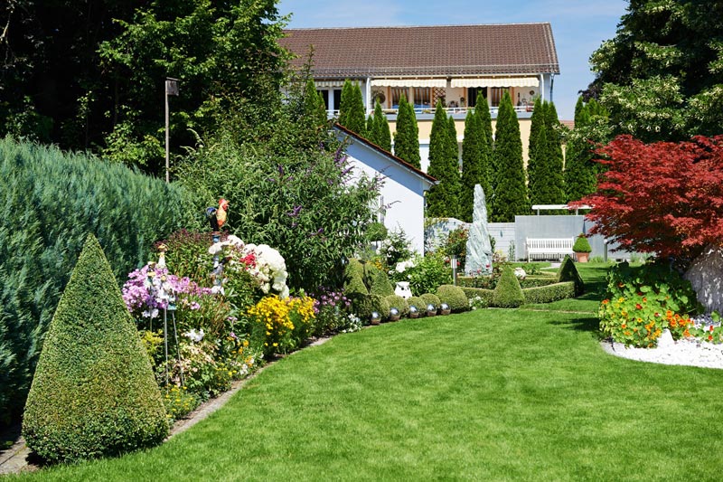 Contemporary landscape and planting design in Brisbane