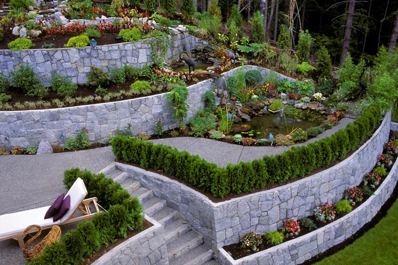 Landscaped Brisbane garden