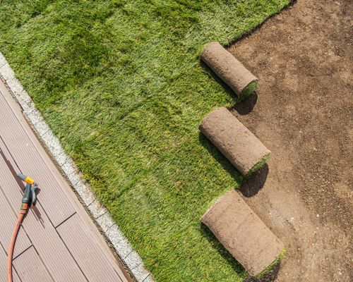 Natural turf installation creating a fresh green Brisbane lawn