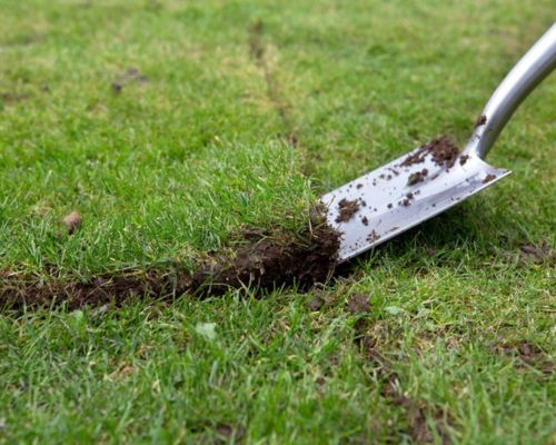 Artificial grass installation for a low-maintenance Brisbane lawn