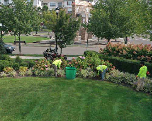 Commercial grounds kept clean, safe and presentable year-round